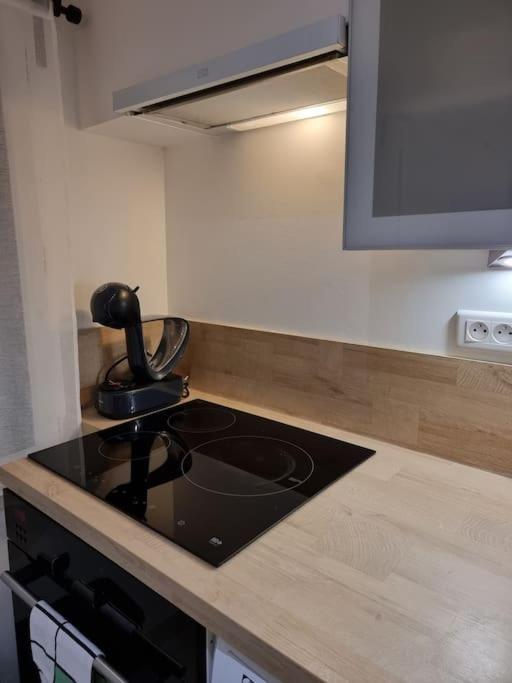 Nalan Orrygeois, Spa, Sauna, Proche Asterix Apartment